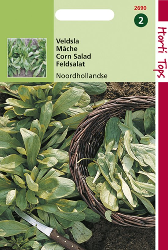 Veldsla Noordhollandse (Valerianella) 2000 zaden HT